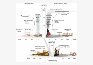 Schematic Of Seep And Vent Interactions With Surrounding