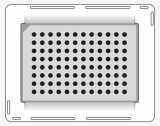 Domino