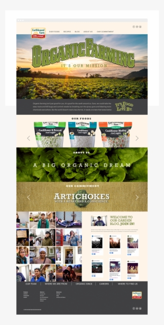 Earthbound Web Layout 07