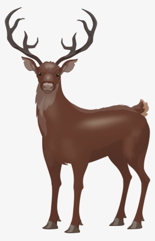 Stag Png