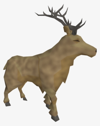 Stag Png