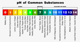 Permaculture Tip Of The Day The P