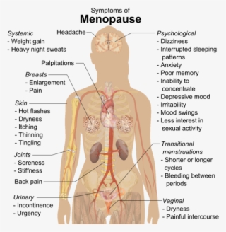 Symptoms Of Menopause