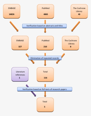Flow Chart Of Selection Of Papers