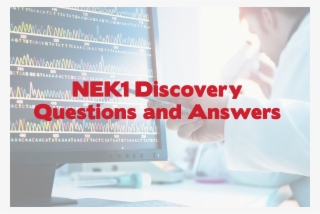 Questions And Answers