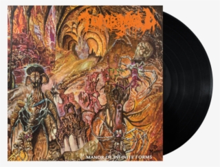 Manor Of Infinite Forms Vinyl Lp