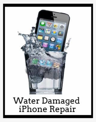 Have You Dropped Your Iphone In Water No Worries All