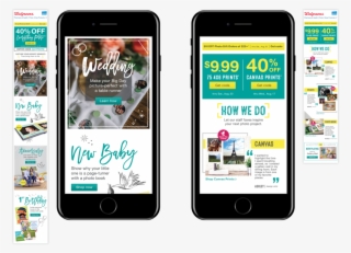 All Pasture Raised Salon Loft 16 Mountain Marriage