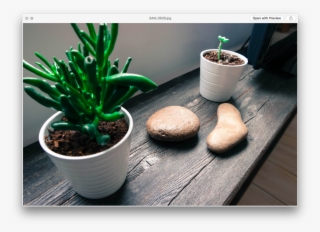 Screen Shot 2017 02 01 At
