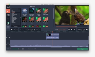 The Image Of The Eagle Superimposed Against The Other