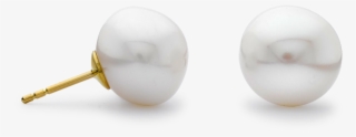 Winsor Bishop 18ct Yellow Gold Pearl Stud Earrings