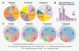 Geographic Distribution Of Website Traffic And Facebook/instagram