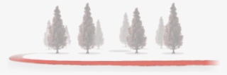 Tree Background
