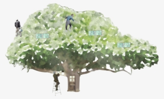 今日は蟹座の新月です。新しいスタートには最適の