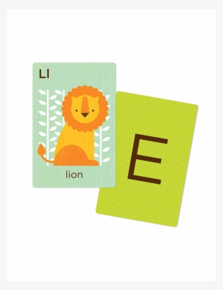 Animal Flash Cards