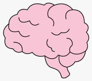 Brain