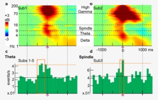 Putative Replay Frames Are Associated With Spindle,