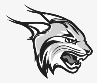 Huntingdon Vs - Ozarks