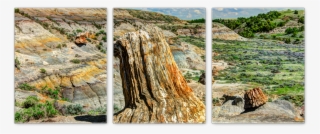 Theodore Roosevelt National Park Panoramic Canvas Set