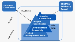 Management Structure