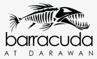 Barracuda Clipart Spiny Lobster