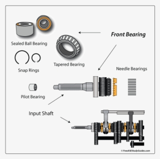 Manual Transmission Input Shaft Noise Rh Freeasestudyguides