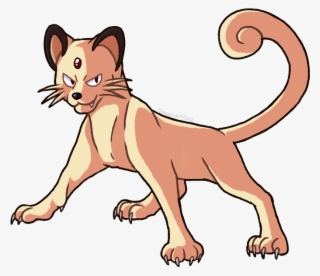 Haughty Cats Gonna Mess You Up
