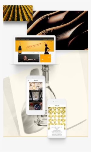 Drupal Support, Cms, Multisite Solutions Case Study - Flyer