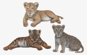 Leopard Transparent Jungle Animals - Lion Cub Wall Decal, Home Decor Decals,