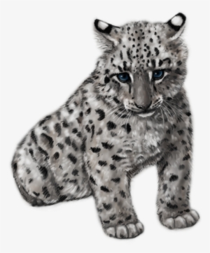 Snow Leopard Cub By Silvercrossfox On Deviantart - Baby Snow Leopard Transparent