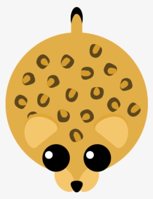 Leopard - Mope Io Jaguar