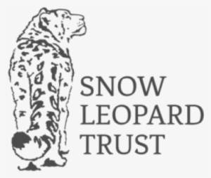 Snow Leopard Trust Logo