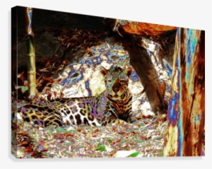 Leopard Resting - Modern Art