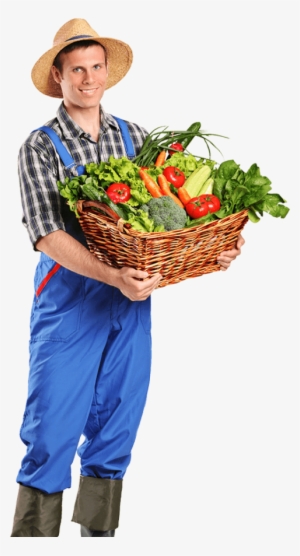 Free Png Farmer Png Images Transparent - Farmer With Vegetables Png