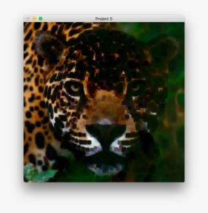 This Image Was Created By Applying Morphological Erosion - Jaguar