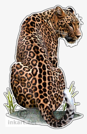 Persian Leopard Decal - Persian Leopard Throw Blanket