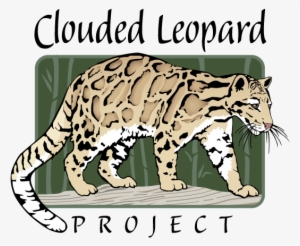 Clouded Leopard Project