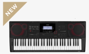 Ct-x Keyboards, Keyboards