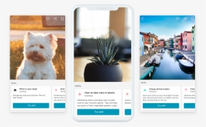 Extend Bing Visual Search Capabilities - Bing Visual Search