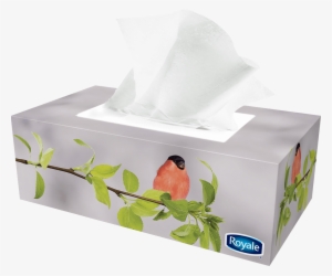 Previous - Next - Facial Tissue