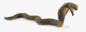 King Cobra Png Image - King Cobra Png