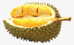 Download - Frozen Durian
