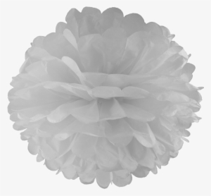 Large Inch Pom Box Of - White Pom Pom Png