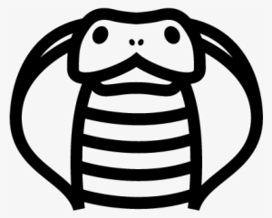 Cobra Front Outline Vector - Cobra Outline