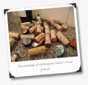 Carnage - Anne Geddes