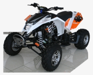 Mad Max 250 Atv, Liquid Cooled, 4-speed, Manual With - Mad Max