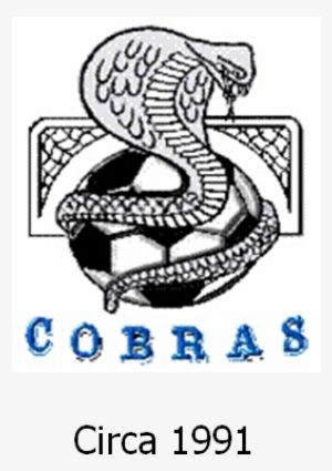 Cobras Logo 1991 - Logo