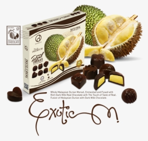 Durian Real Chocolate - Thai Eggplant Solanum Xanthocarpum, Ma Khua Khun,