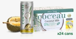 Coconut Milk Durian