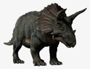 Triceratop Png Image - Triceratops